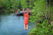 Riviera Maya Snorkeling Adventure: Lagoon, Cenotes Open & Cavern