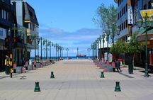 5-Day Tour Chile & North Patagonia