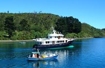 5-Day Tour Chile & North Patagonia