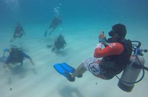 Open Water Diver - Bávaro