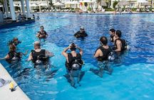 Open Water Diver - Bávaro