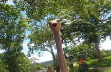 Pablo Escobar private zoo La Hacienda Napoles Tour