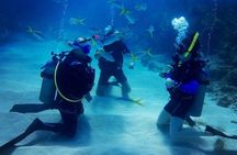 Advanced Open Water Diver - Bávaro
