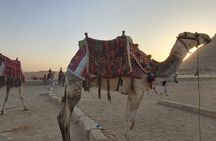 Full-Day Private Tour of Cairo and Giza with Lunch