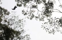 Pacaya Samiria National Park Full Day Tour