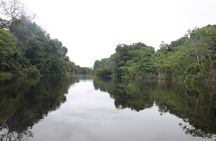 Pacaya Samiria National Park Full Day Tour