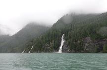Spring Bear and Waterfall Tour