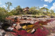 4-Day Trip to Caño Cristales (the River of Many Colors) and the Jungle