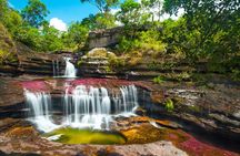 4-Day Trip to Caño Cristales (the River of Many Colors) and the Jungle