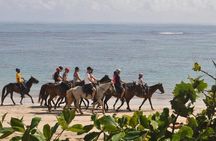 Horseback Riding Adventure Punta Cana
