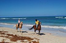 Horseback Riding Adventure Punta Cana