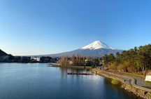 Mt Fuji Half-Day Tour By Car