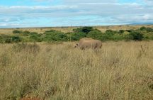 Kenya safari