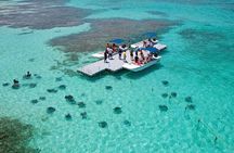 Stingray City