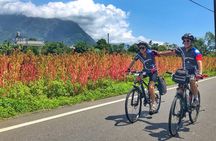 Dutch Footprints Cycling Tour from Colombo