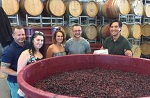 Canberra Small Group Winery Tour
