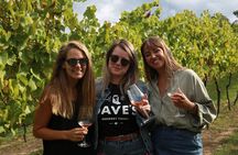 Canberra Small Group Winery Tour