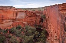 Uluru, Kata Tjuta and Kings Canyon Camping Safari from Ayers Rock