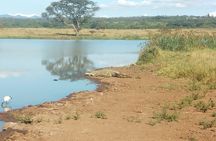Kenya safari