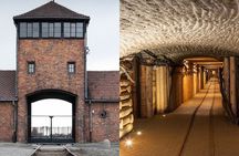 Krakow: Auschwitz-Birkenau and Salt Mine Guided Visits in One Day