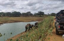 Yala National Park Safari from Koggala