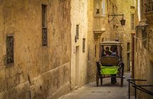 Mdina Private Walking Tour With A Professional Guide