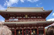 6-Hour-Tour Tokyo Highlights