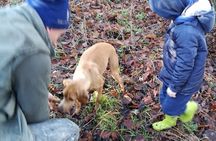 Langhe Truffle hunting Experience