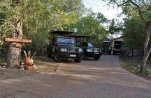 Fullday Gamedrives in Kruger National Park from Marlothpark