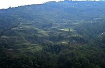 Day Trip to Yuksom (Guided Private Sightseeing Tour from Pelling)