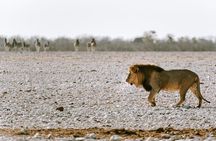 7 Day Taste of Namibia Lodging Safari