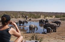 7 Day Taste of Namibia Lodging Safari