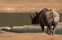 7 Day Taste of Namibia Lodging Safari