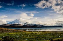 Private Lauca National Park & Chungara Lake from Arica