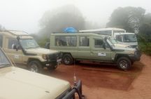 4 days Serengeti, Ngorongoro and Tarangire camping Tour