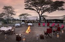 5 Days: Lake Manyara / Serengeti / Ngorongoro