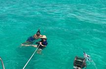 Catamaran to Isla Mujeres, Open bar, buffet, Beach Club Included