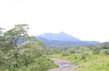7-Day Tour in Lake Manyara, Serengeti Plains, Ngorongoro Crater and Tarangire