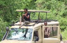 7-Day Tour in Lake Manyara, Serengeti Plains, Ngorongoro Crater and Tarangire