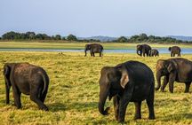 Hurulu Eco Park Safari | Jeep with Tickets