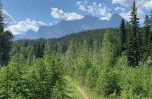 Private Tour: Majestic Mountains PHOTO SAFARI Drive - 4H 