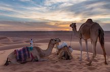 Bediyah: Under the Arabian starry sky - looking at the stars