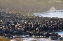3 days Masai Mara National Reserve Shared Safari