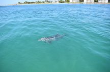 Half-Day Private Tiki Boat Beach Tour from Fort Myers