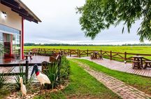 Pantanal Norte Classic Package 2 - 3 or 4 nights 