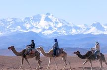 Atlas Mountains Day Trip and Camel Ride