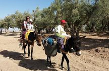 4 Day Family Trek In Morocco - Atlas Mountains and Berber Villages & Waterfalls