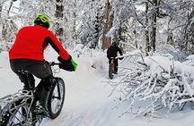 Winter Fat Biking Anchorage Tour