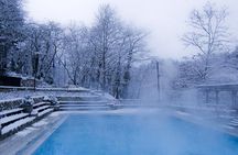 Half-Day Private trip to pozar waterfalls and hot springs 