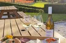 Luxury Private Auckland Wine & Beach Tour with Lunch